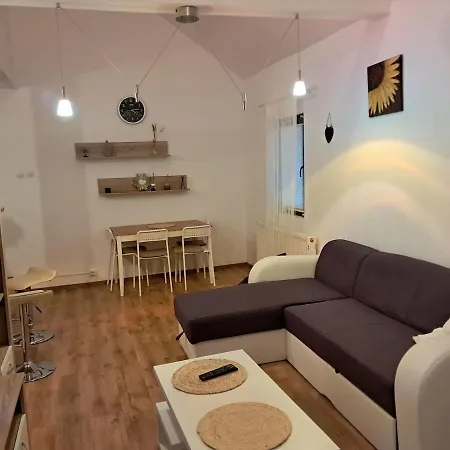 Apartment Baisoara 3 *