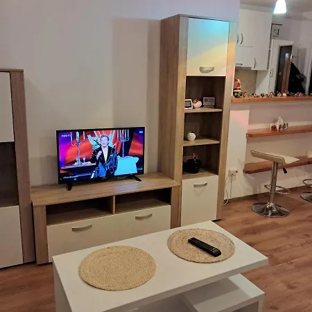 Apartment Baisoara 3
