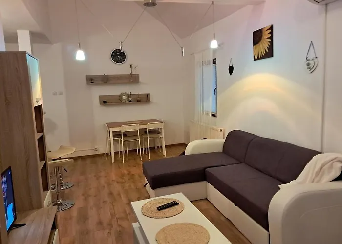 Apartament Baisoara 3 *