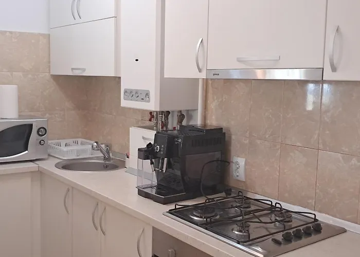 Apartament Baisoara 3 *